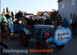 Faschingszug Wenzenbach